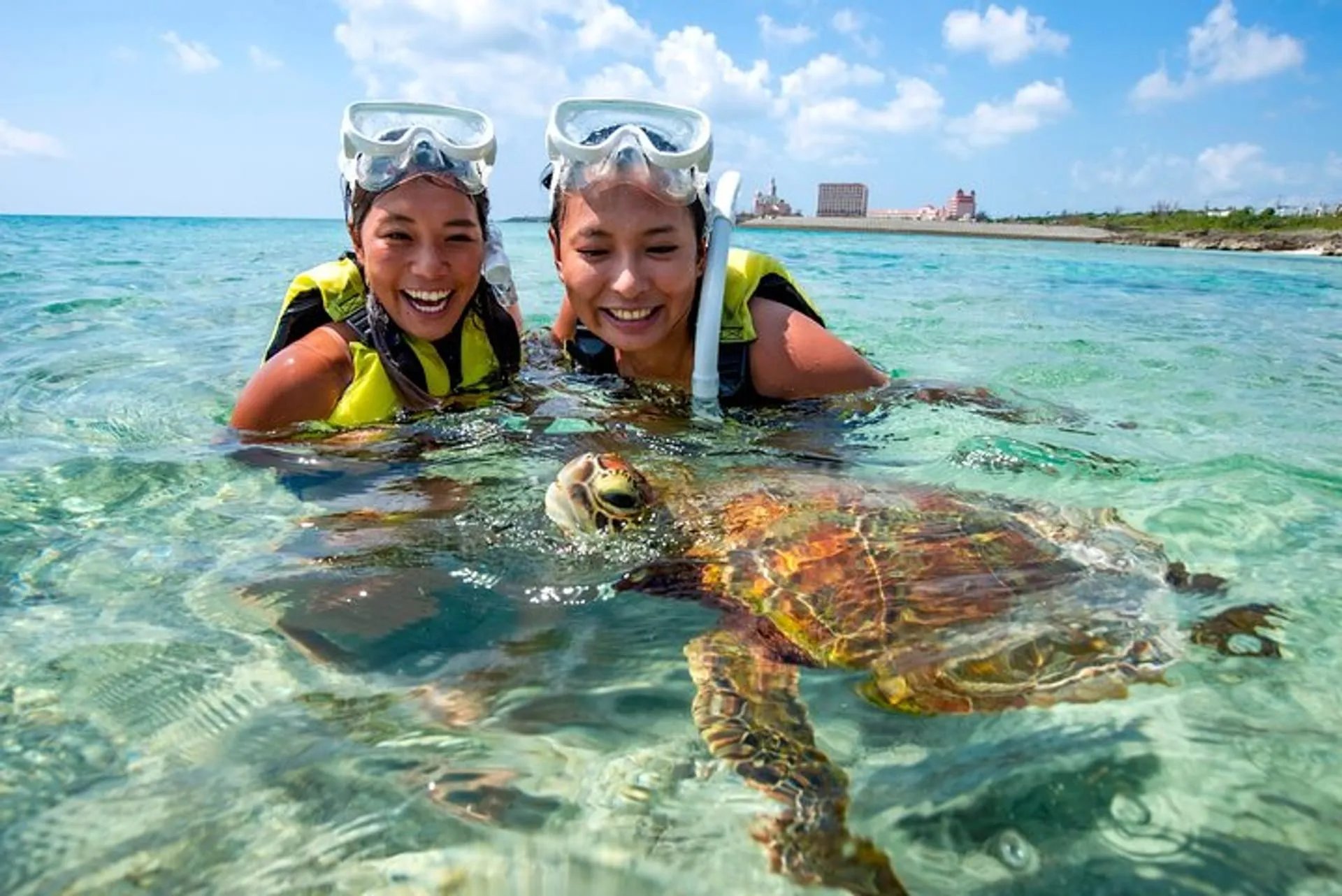 🏖️ わいわいビーチ 이미지 3